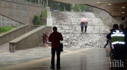 герб приема граждани подлеза