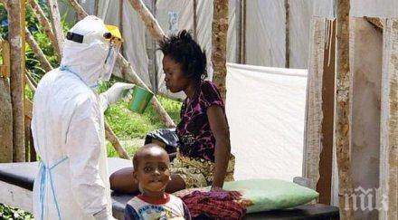 вероятността вирусът ебола мутира малка