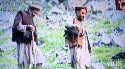 кайда предложи коалиция ислямска държава