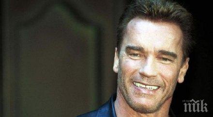 официално арнолд шварценегер развежда коледа