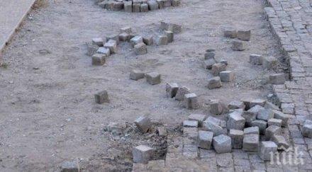 заловиха крадец павета