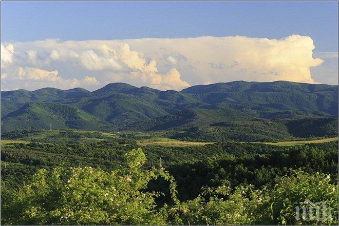 Шефът на природен парк Българка остава на поста си
