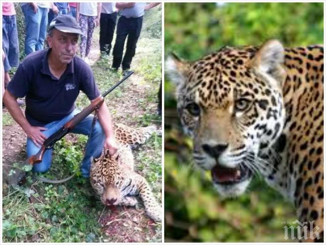 Заплашват убиеца на Алонсо. Той: Не съм се снимал с ягуара, фотото е монтаж