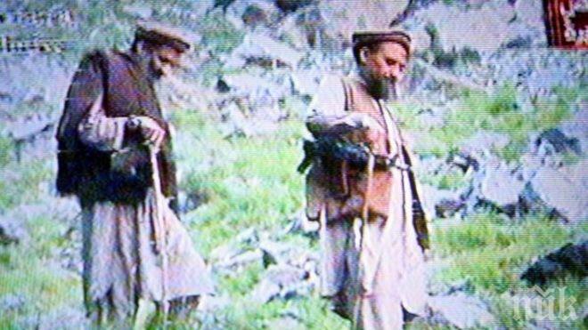 Ал Кайда предложи коалиция на „Ислямска държава”