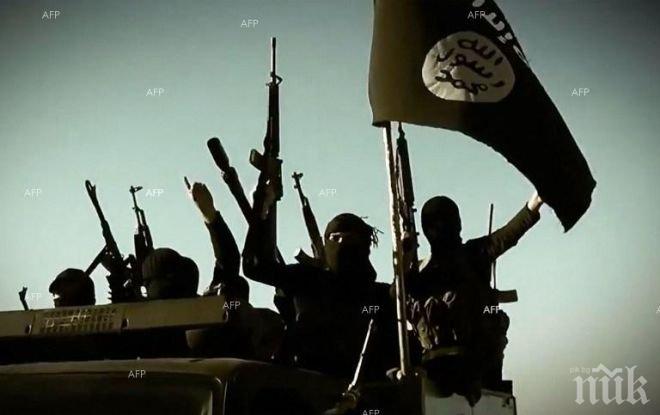 Ликвидираха 28 членове на Ислямска държава в Ирак