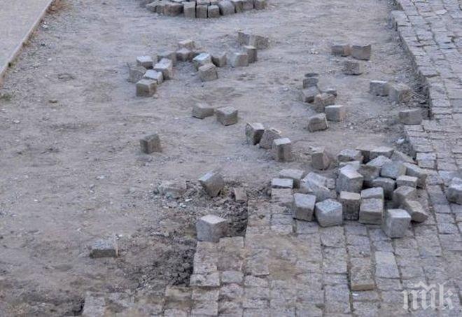 Заловиха крадец на павета 