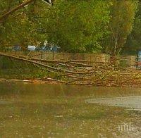 Пазарджишки села още са застрашени от наводнения на Тополница