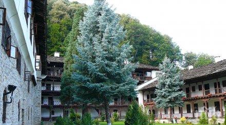 екопътека хора увреждания изградена рилския манастир