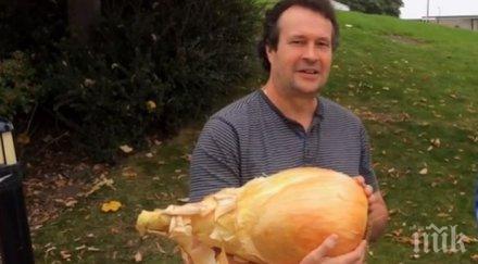 голямата лукова глава тежи близо килограма