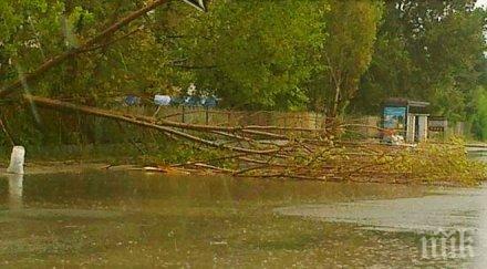 пазарджишки села застрашени наводнения тополница