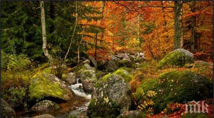 дни настъпва астрономическата есен