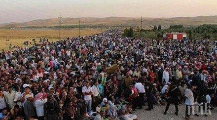 мелиса флеминг 100 000 кюрди преминали границата турция