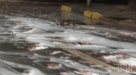 пенлив поток заля бул приморски варна снимки