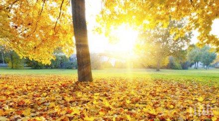 синоптик бан пик валежите спират очаква слънце температурите повишават