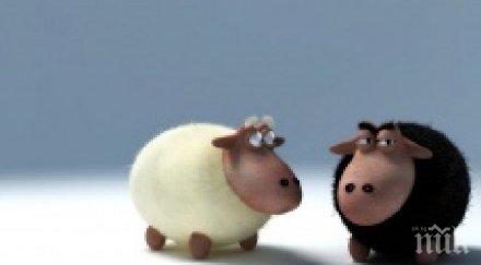 смях уникален шопски зодиак вижте какъв сте