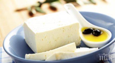 учени пълномаслените млечни продукти полезни