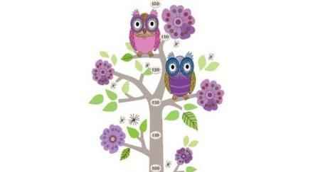 куриоз петгодишно индийче високо 170