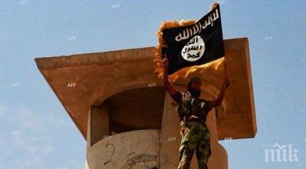 терорист ислямска държава задържан берлин