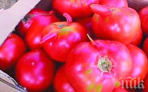 Скок в цените на доматите и краставиците 
