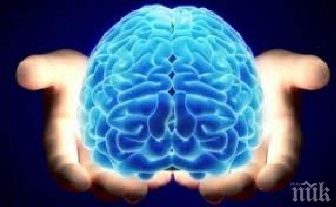 Проучване: Антидепресантите вредят на мозъка
