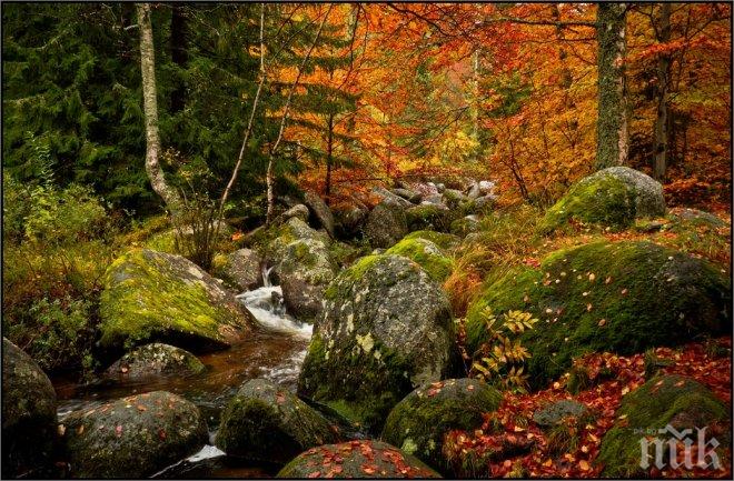 Настъпи астрономическата есен, пада първият сняг