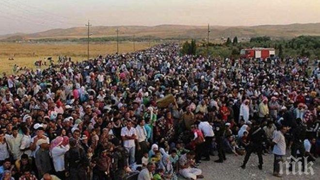 Турският вицепремиер: Сирийските кюрди в страната са повече от 130 000