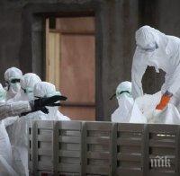 Здравни експерти: Европа трябва да увеличи участието си в борбата срещу епидемията от ебола