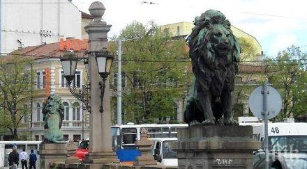пускат трамваите лъвов мост