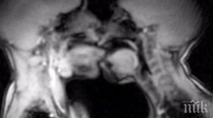 учени показаха секса отвътре видео