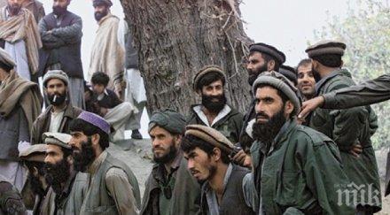 кайда подготвяли нов терористичен акт сащ