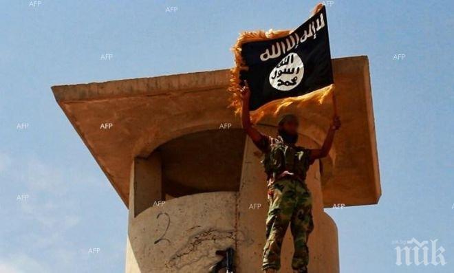 Неизвестна групировка заплаши коалицията срещу „Ислямска държава”