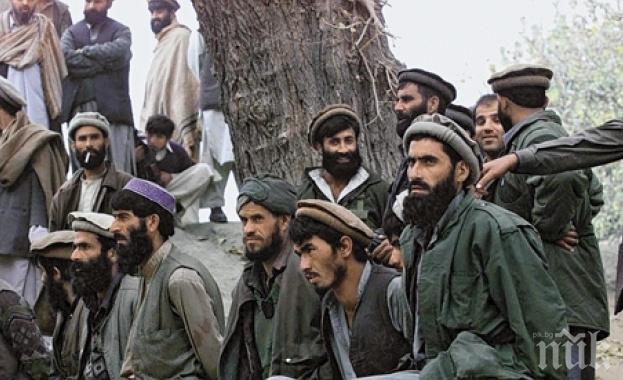 „Ал Кайда” подготвяли нов терористичен акт срещу САЩ