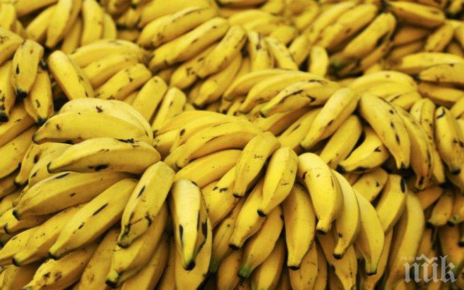 171 кг кокаин в банани хванаха в Дубай