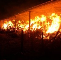 Изпепелиха барака край Несебър