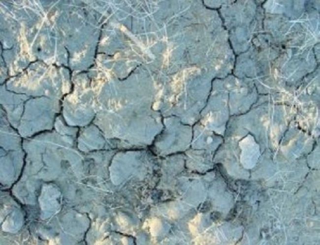 Виж таблица на последните силни земетръси