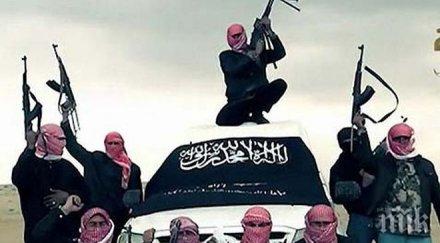 ликвидираха високопоставена фигура ислямска държава въздушен удар сирия