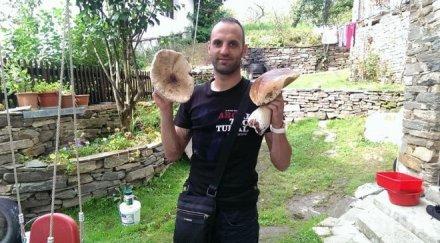 пик апостол попов разпуска бране гъби набра гигантски сърнела манатарка снимки