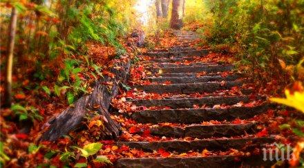 бан идват три слънчеви дни после студът сковава страната