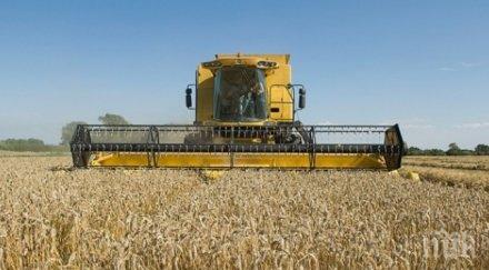 мегаскандал разследват крупни земеделски фирми източване европари