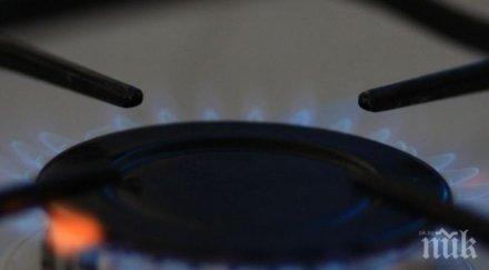 домакинствата нас газифицирани