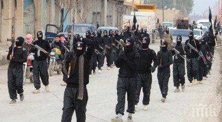 паника сърбия заради вербуването бойци ислямска държава кайда балканите