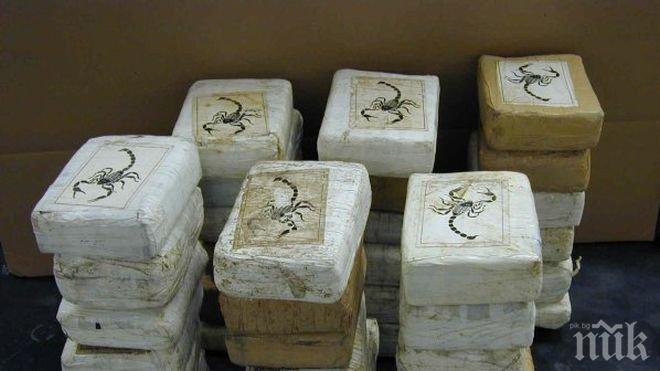 В Португалия заловиха 450 кг кокаин