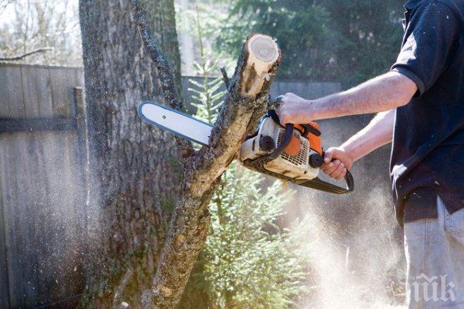 Малолетен изсякъл 1.5 куб. дърва, за да се грее