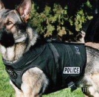 Полицейско куче надушва флашки