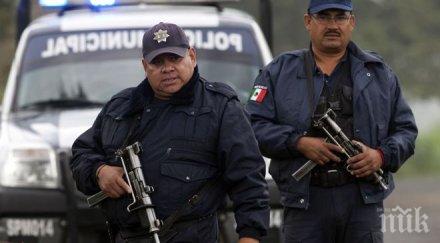 властите мексико издирват студенти изчезнали протести