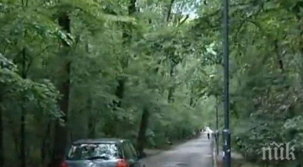 съдът обърка варненци казуса колите морската градина