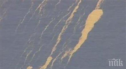 бизнесмен завладя остров тихия океан иска дари българия