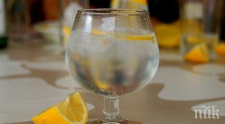 британски учен определи идеалните пропорции джин тоник