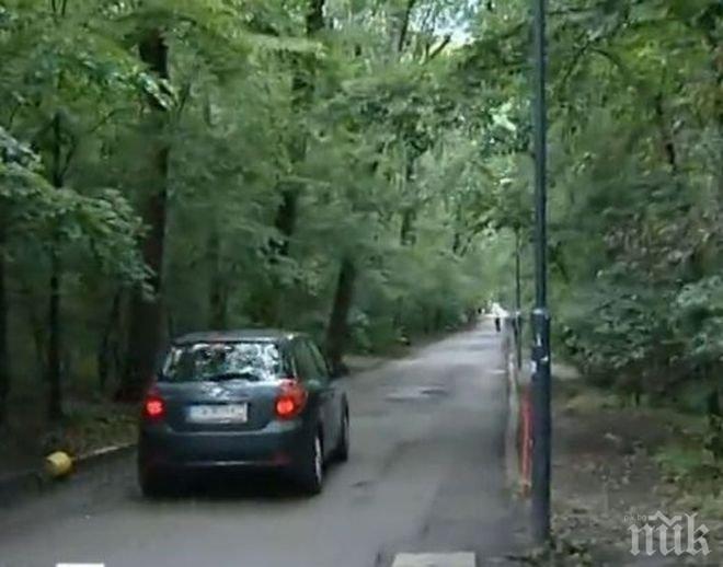 Съдът обърка варненци по казуса с колите в Морската градина