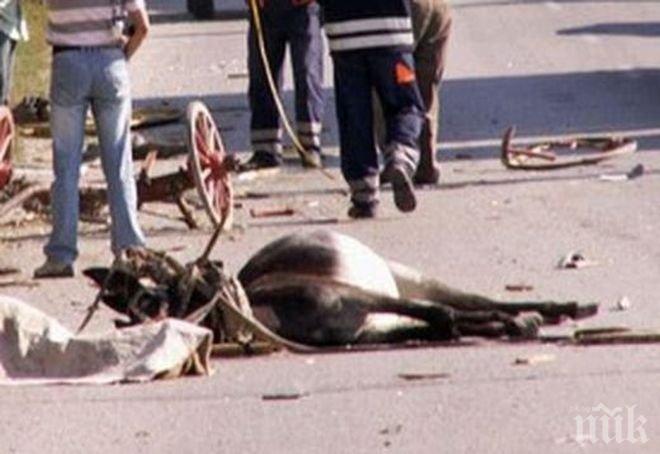 Линейка с пациент се натресе в кон край Кюстендил